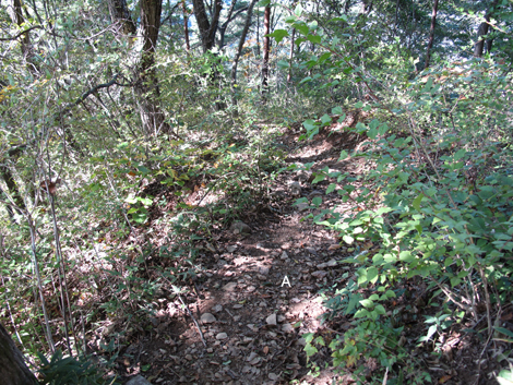 20161104hike (63)
